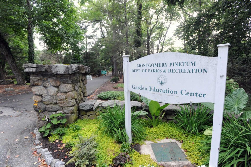 Montgomery Pinetum Park Cos cob ct