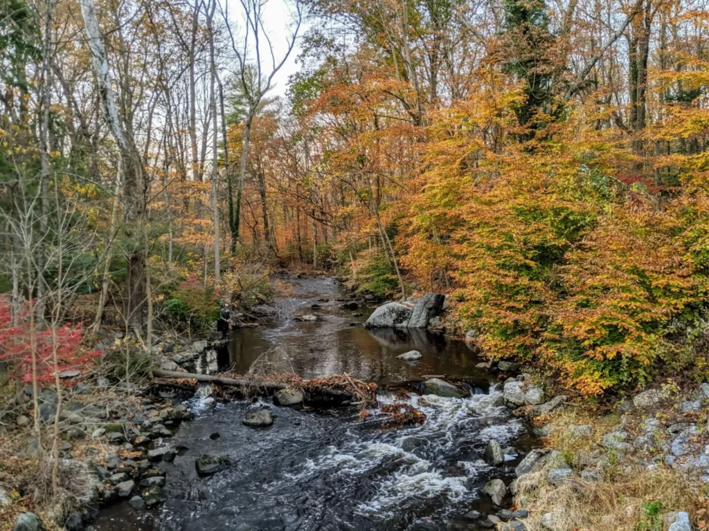 Mianus River Park Greenwich Ct